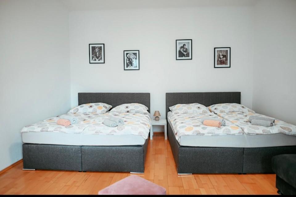 Raimond Apartment Top 27 维也纳 外观 照片